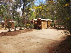 Mietobjekt: Stellplatz für ein Zelt und einen Wohnwagen auf unserem Campingplatz**** in Hyères