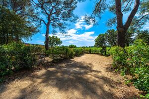 Mietobjekt: Stellplatz für ein grosses Zelt auf unserem schattigen Campingplatz bei Hyères