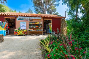 Unser Campingplatz am Mittelmeer und im Departement Var