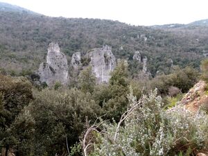 Wandern in der Provence