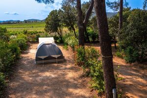 Zeltplatz auf unserem naturnahen und umweltfreundlichen Campingplatz im Departement Var