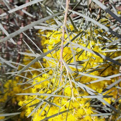 RANDO/VÉLO : le barrage du Trapan DE