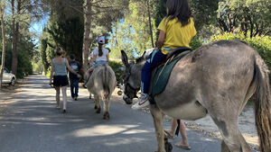 Camping Les Jardins de la Pascalinette Â®