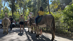 Camping Les Jardins de la Pascalinette Â®