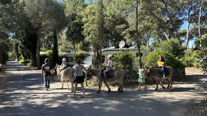 Camping Les Jardins de la Pascalinette Â®