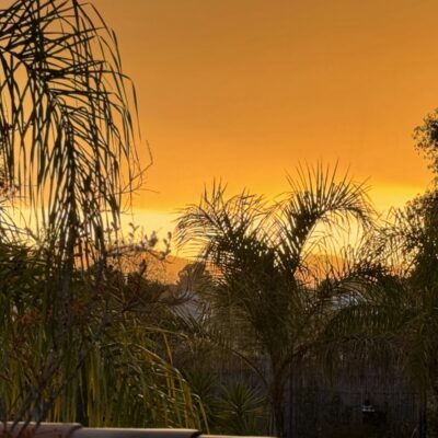 Coucher de soleil au camping sur nos palmiers de la reine