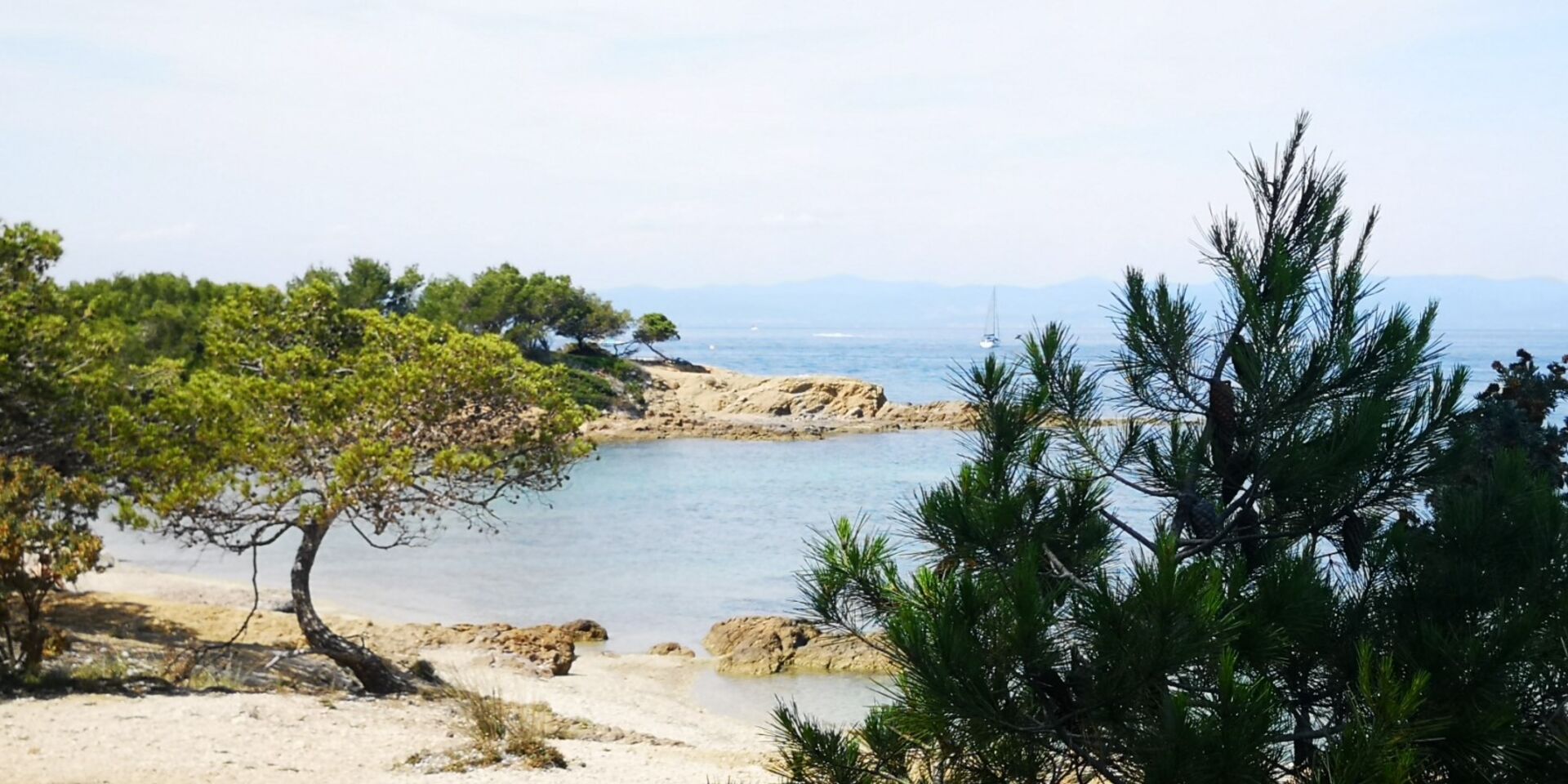 Strand an der Côte d'Azurs: blauer Himmel und Pinienwälder