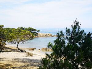 Strand an der Côte d'Azurs: blauer Himmel und Pinienwälder