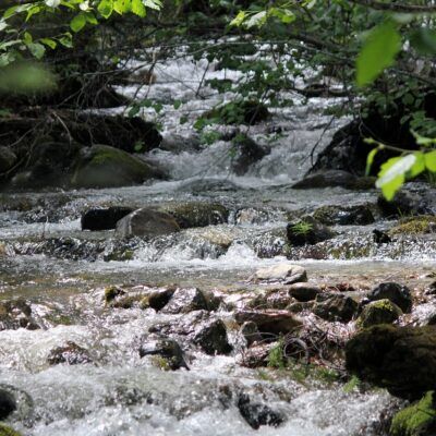Die Flüsse rund um La Londe-les-Maures
