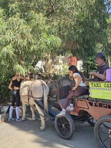 Camping Les Jardins de la Pascalinette Â®