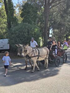Camping Les Jardins de la Pascalinette Â®